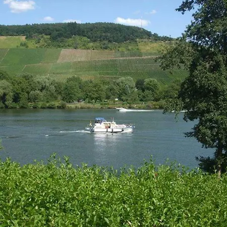 Didia Ferienhaus/gastehaus * Traben-Trarbach
